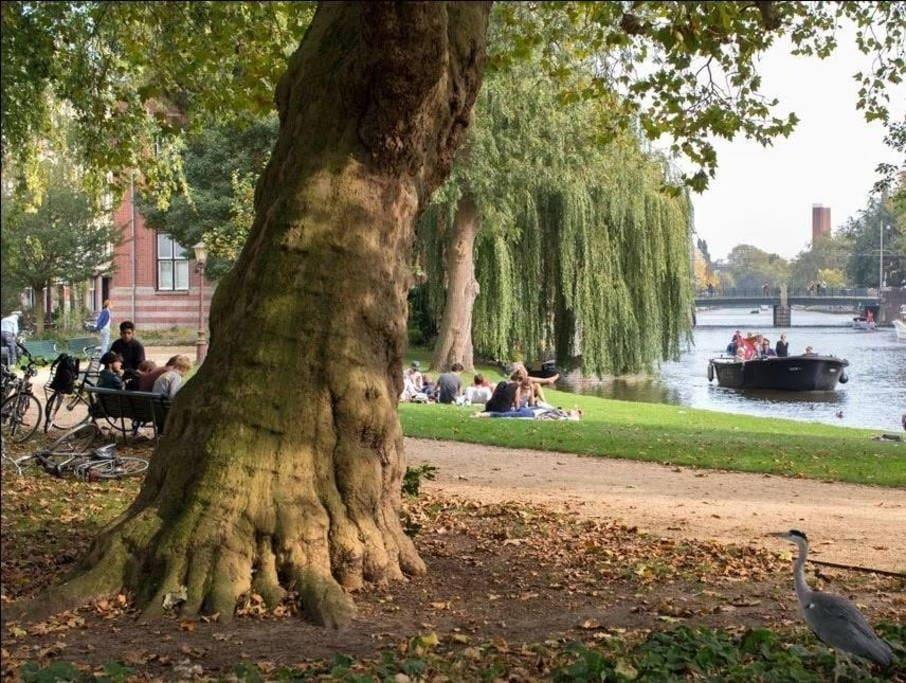 Perfect Apt - Heart Of Amsterdam Luaran gambar